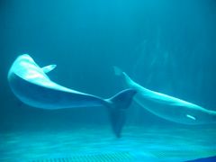 -多彩贵州城极地海洋世界