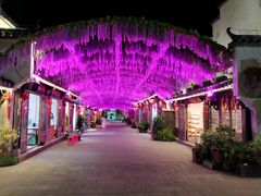 -婺源梦里老家大型山水实景演出