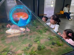 -中国西峡恐龙遗迹园