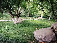 -西安市长乐公园