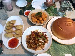 XO酱爆白玉菇虾仁-大树餐厅(红旗街万达店)