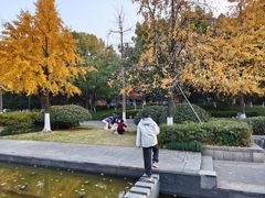 -杭州城北体育公园