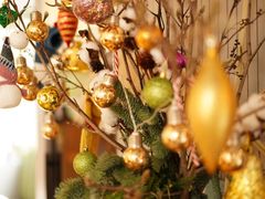 -蝶舍·MAISON PAPILLON