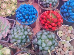 -三旗百汇商品城