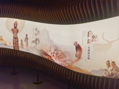 -四川大学博物馆