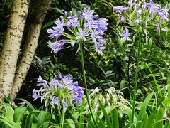 -昆明市金殿名胜区