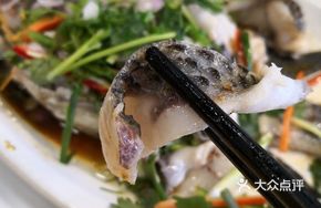 Steamed Tilapia with Scallion Oil