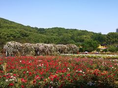 -龙寺生态园