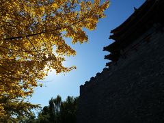 -东华门大街小区