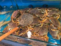 -谊荣海鲜大牌档(石湖店)