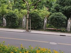 -新湖明珠城