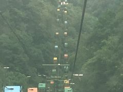 -王顺山国家森林公园
