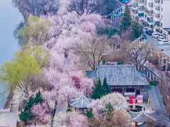 -桃花堤公园