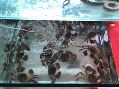 阳澄湖大闸蟹-桃苑居阳澄湖·蟹千恩(美人腿店)