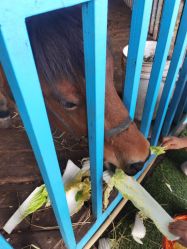 -小蜜蜂农场(凯德七宝购物广场店)