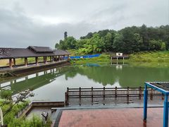 -铁山坪森林公园