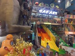 -卡通尼·Safari非洲探索乐园·生日会(金桥国际商业广场店)