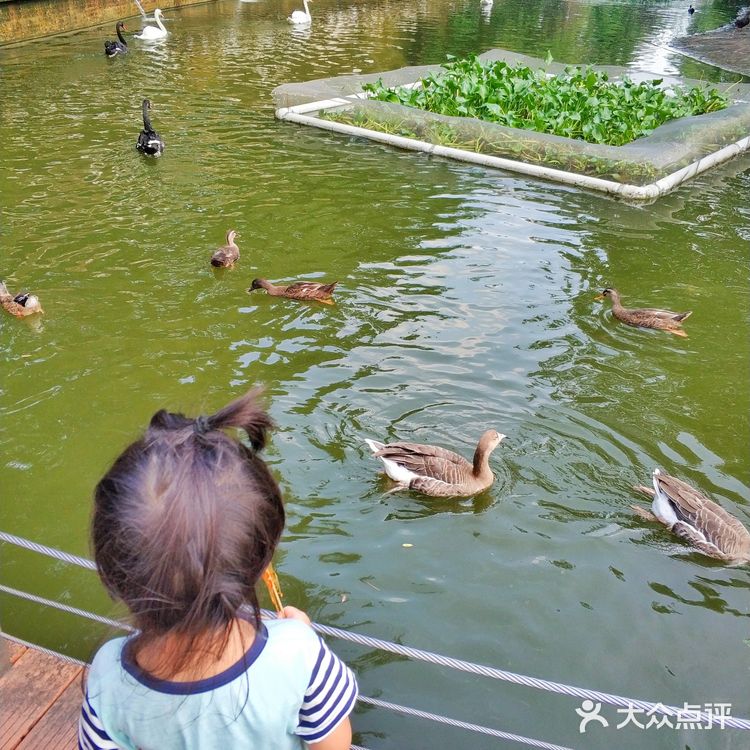 【亲子日游攻略】成都北门看动物又耍水