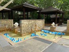 -春晖园度假酒店温泉