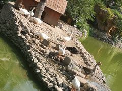 -静之湖湖畔餐厅