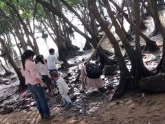 -宝安西湾红树林湿地公园