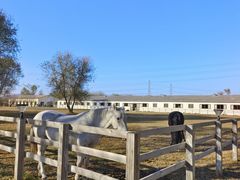 -北京群众马术培训基地