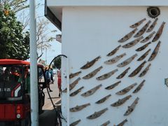 -三亚西岛海洋文化旅游区