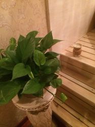 iphone_upload_pic-欧婼妍