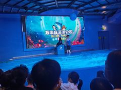 -石家庄海洋公园