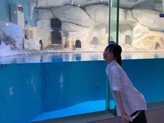 -蓬莱欧乐堡海洋极地世界