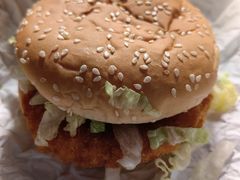 -麦当劳(金平路站店)