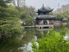 -水绘园
