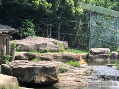 -常州淹城野生动物世界