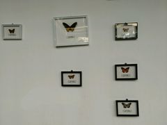 -红栌温泉山庄生态美食餐厅