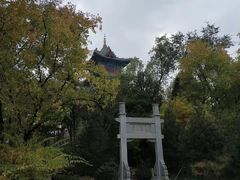 景点-迎泽公园