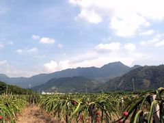 -广州市石门国家森林公园