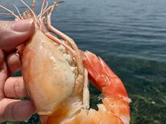 -品鲜村农家菜·阳澄湖大闸蟹(总店)