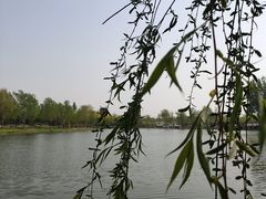 -东郊湿地公园