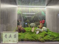 -七采菌园·野生菌石锅鱼(环城北路店)