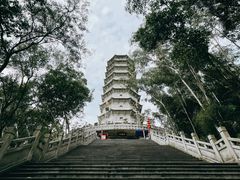 -深圳国际园林花卉博览园