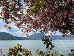 -丽江泸沽湖景区