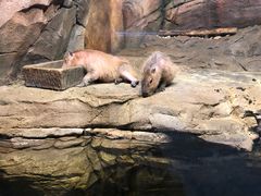 -波塞冬旅游度假区