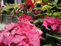 -COSTA COFFEE(上海虹口公园店)