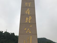 -铁山坪森林公园