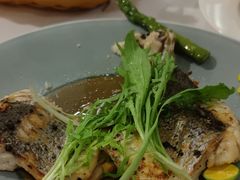 橙汁香煎海鲈鱼-维兰西餐(万泉河店)