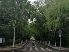 -黑龙江大学