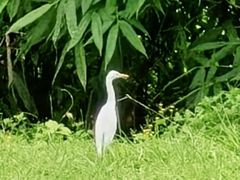 -福建鲤鱼洲酒店