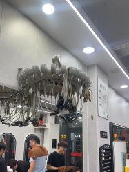 -青霖·飘逸造型