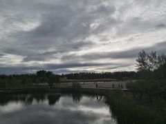 -东郊湿地公园