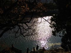 -蒋氏故居